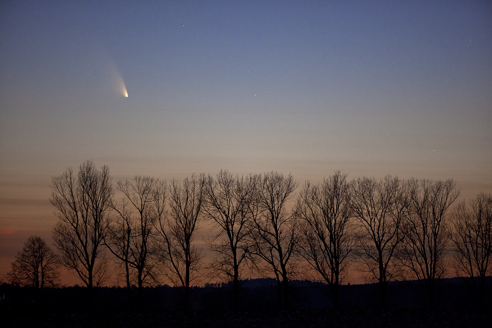 Panstarrs