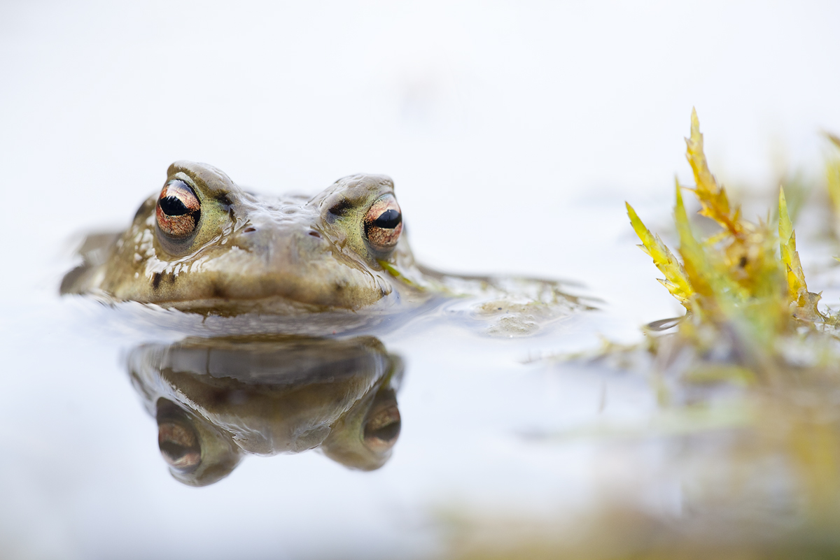 unterwasser